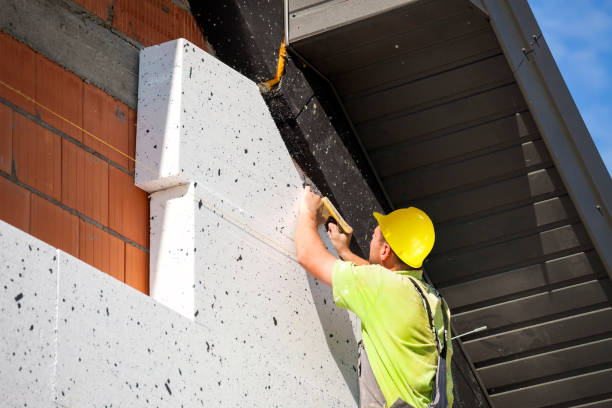 Best Attic Insulation Installation in Nroe City, MO